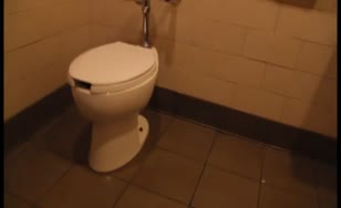 Public toilet plops