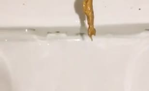 Long yellow shit in toilet