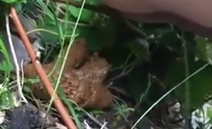 Chubby babe caught shitting