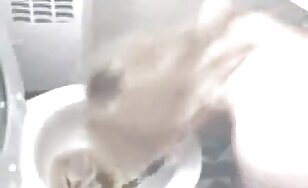 Dirty Lady Craps in the Toilet - 03:26