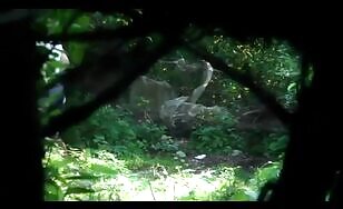 Woman Poops in the Forest - 03:33