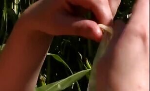 Woman Craps in Corn Field - 11:33